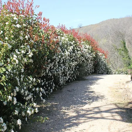 El Refugio De Chilla 1