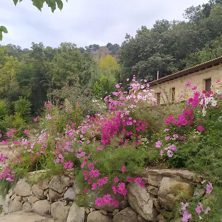 Holiday home El Refugio De Chilla 1 Candeleda